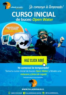 Email Marketing Masivo para Fulladrenalin
